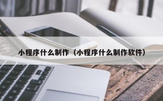 苍南小程序什么制作（小程序什么制作软件）