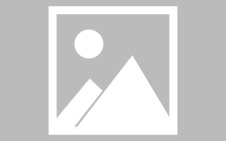 苍南龙江乐从网站建设（乐从和龙江）